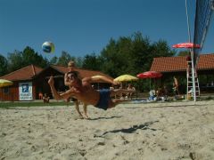 beachvolleyball01.jpg