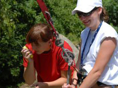 flying_fox04.jpg